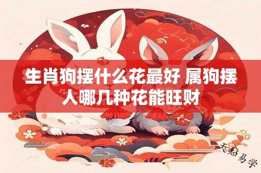 生肖狗摆什么花最好 属狗摆人哪几种花能旺财