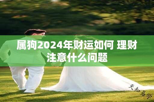 属狗2024年财运如何 理财注意什么问题