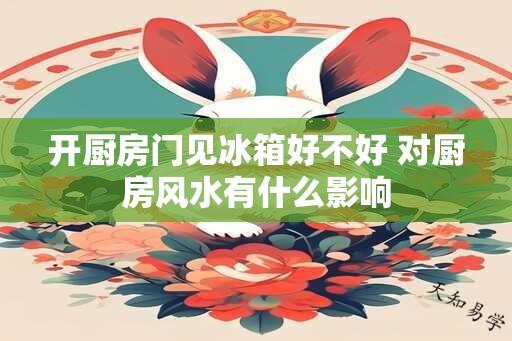 开厨房门见冰箱好不好 对厨房风水有什么影响