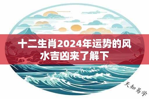 十二生肖2024年运势的风水吉凶来了解下