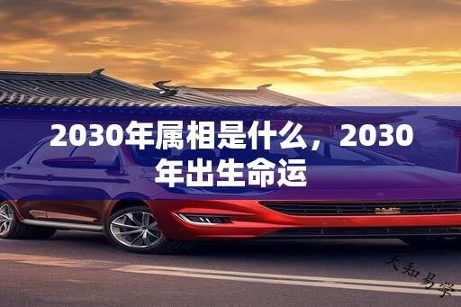 2030年属相是什么，2030年出生命运