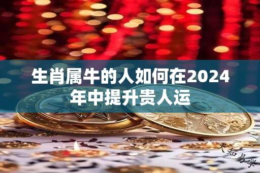 生肖属牛的人如何在2024年中提升贵人运