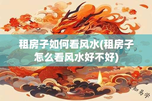 租房子如何看风水(租房子怎么看风水好不好)