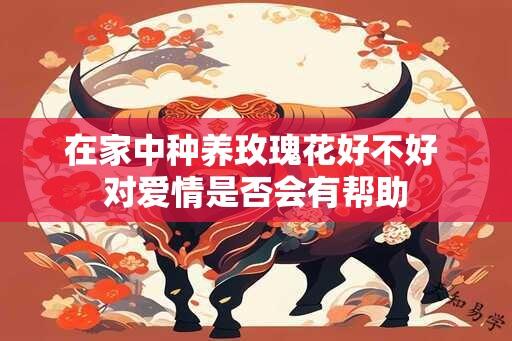 在家中种养玫瑰花好不好 对爱情是否会有帮助