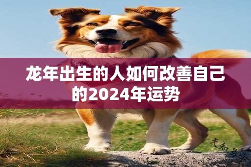 龙年出生的人如何改善自己的2024年运势