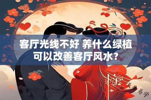 客厅光线不好 养什么绿植可以改善客厅风水？