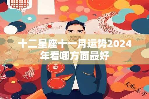 十二星座十一月运势2024年看哪方面最好