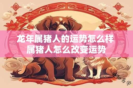 龙年属猪人的运势怎么样 属猪人怎么改变运势