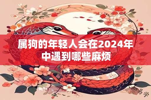 属狗的年轻人会在2024年中遇到哪些麻烦