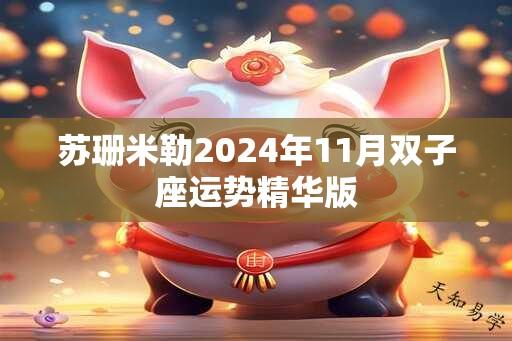 苏珊米勒2024年11月双子座运势精华版