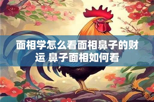 面相学怎么看面相鼻子的财运 鼻子面相如何看