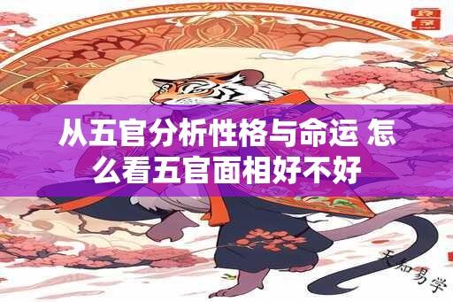 从五官分析性格与命运 怎么看五官面相好不好