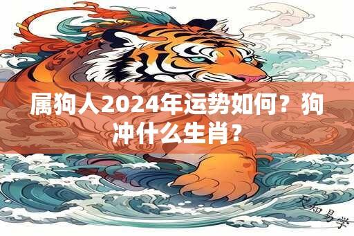 属狗人2024年运势如何？狗冲什么生肖？