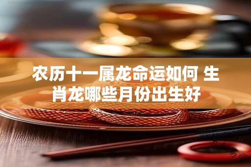 农历十一属龙命运如何 生肖龙哪些月份出生好