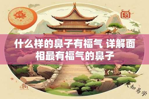 什么样的鼻子有福气 详解面相最有福气的鼻子