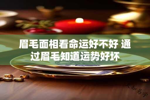 眉毛面相看命运好不好 通过眉毛知道运势好坏