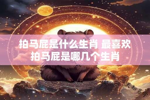 拍马屁是什么生肖 最喜欢拍马屁是哪几个生肖