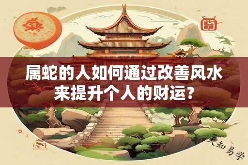 属蛇的人如何通过改善风水来提升个人的财运？