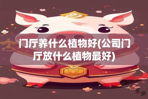 门厅养什么植物好(公司门厅放什么植物最好)