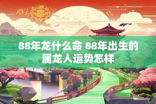 88年龙什么命 88年出生的属龙人运势怎样