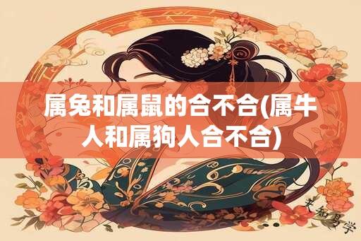 属兔和属鼠的合不合(属牛人和属狗人合不合)