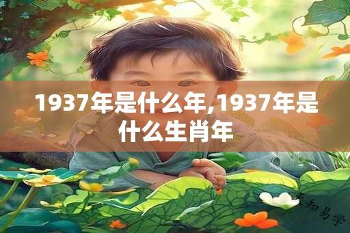 1937年是什么年,1937年是什么生肖年