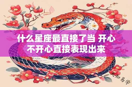 什么星座最直接了当 开心不开心直接表现出来