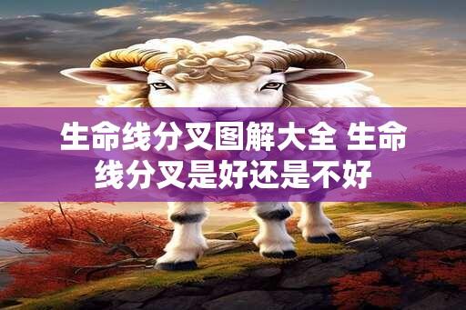 生命线分叉图解大全 生命线分叉是好还是不好