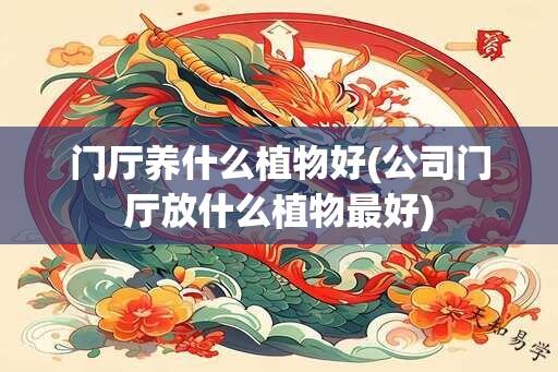 门厅养什么植物好(公司门厅放什么植物最好)