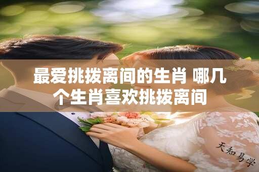 最爱挑拨离间的生肖 哪几个生肖喜欢挑拨离间