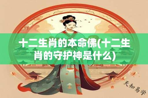 十二生肖的本命佛(十二生肖的守护神是什么)