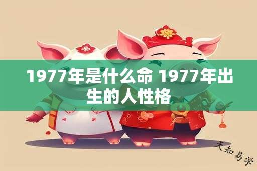 1977年是什么命 1977年出生的人性格