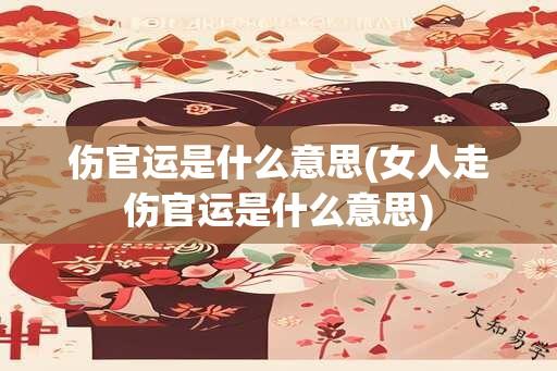 伤官运是什么意思(女人走伤官运是什么意思)