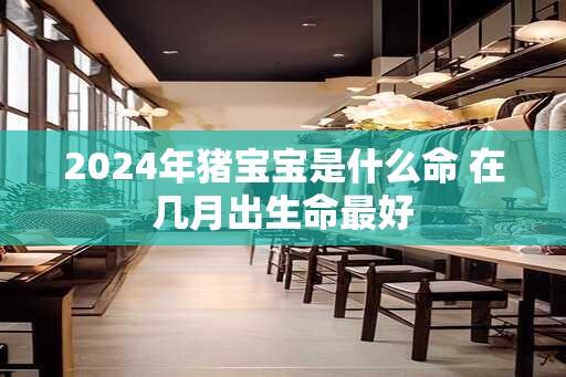 2024年猪宝宝是什么命 在几月出生命最好