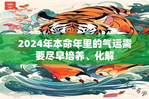 2024年本命年里的气运需要尽早培养、化解