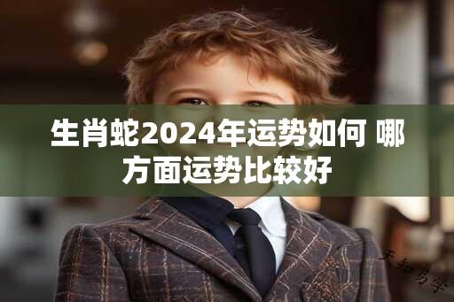 生肖蛇2024年运势如何 哪方面运势比较好