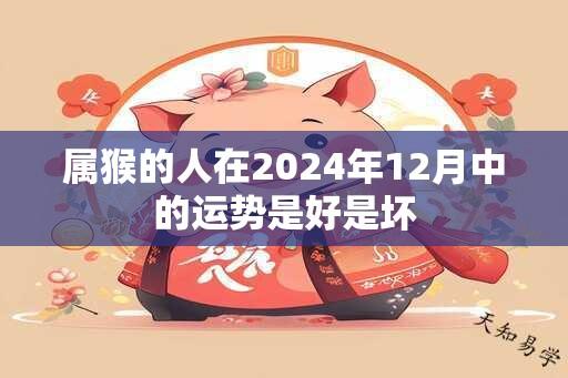 属猴的人在2024年12月中的运势是好是坏