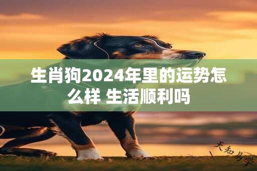 生肖狗2024年里的运势怎么样 生活顺利吗