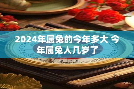 2024年属兔的今年多大 今年属兔人几岁了