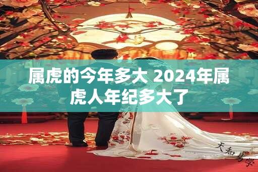 属虎的今年多大 2024年属虎人年纪多大了