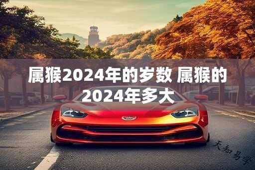 属猴2024年的岁数 属猴的2024年多大