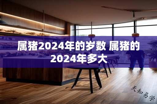 属猪2024年的岁数 属猪的2024年多大