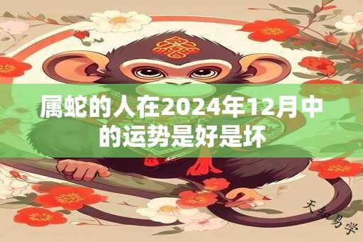 属蛇的人在2024年12月中的运势是好是坏