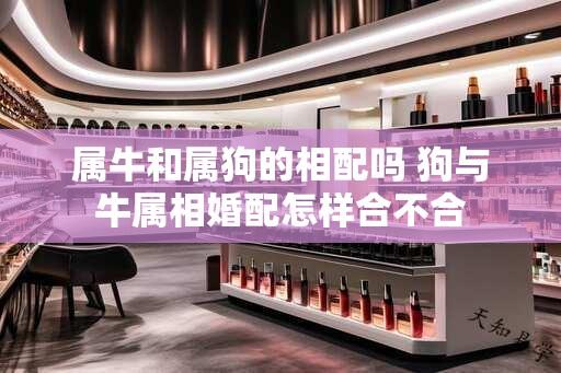 属牛和属狗的相配吗 狗与牛属相婚配怎样合不合