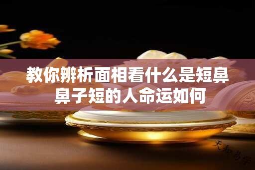 教你辨析面相看什么是短鼻 鼻子短的人命运如何