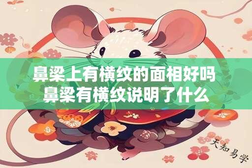 鼻梁上有横纹的面相好吗 鼻梁有横纹说明了什么