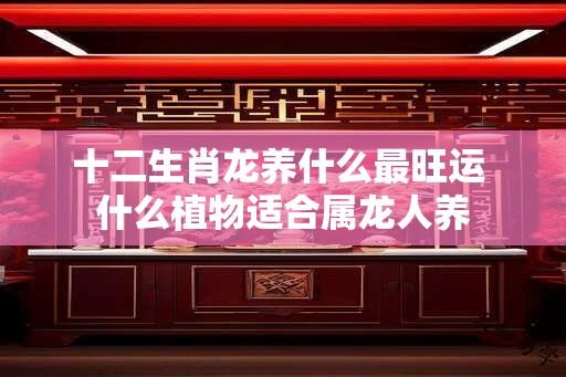 十二生肖龙养什么最旺运 什么植物适合属龙人养