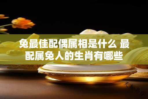 兔最佳配偶属相是什么 最配属兔人的生肖有哪些