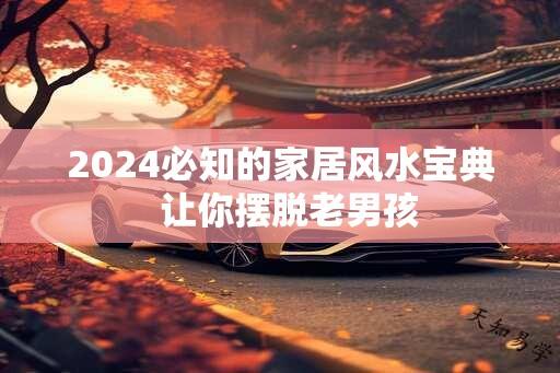 2024必知的家居风水宝典  让你摆脱老男孩