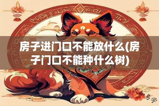 房子进门口不能放什么(房子门口不能种什么树)